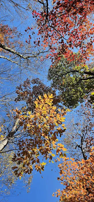 Seven Points Campground 8