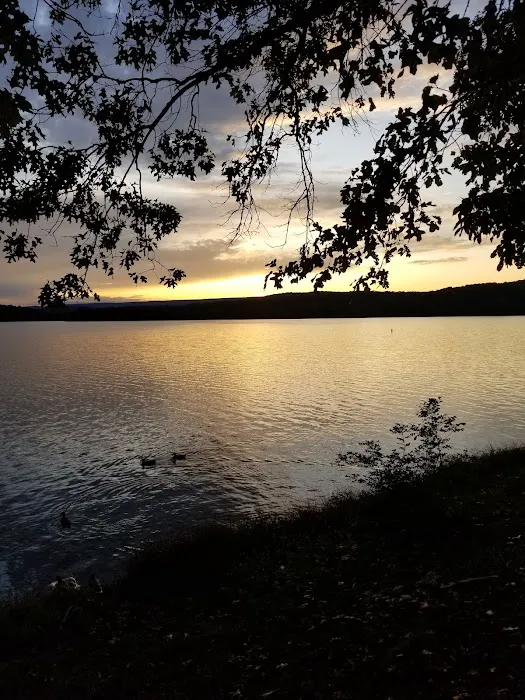 Seven Points Campground- Point Camp Loop 2