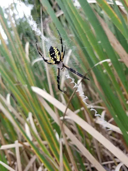 Happy Trails Campground 8