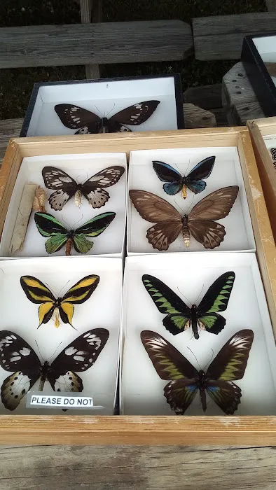 Curwensville Lake Recreation 1