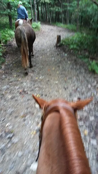 The Big Elk Lick Campground 8