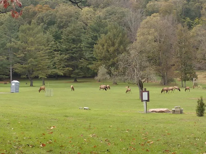 The Big Elk Lick Campground 1