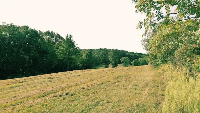 Clearview Campground 2