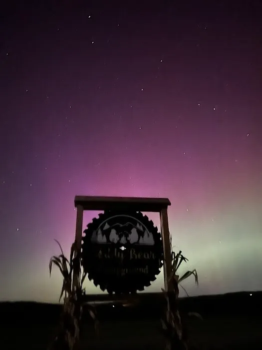 Teddy Bear Campground 1