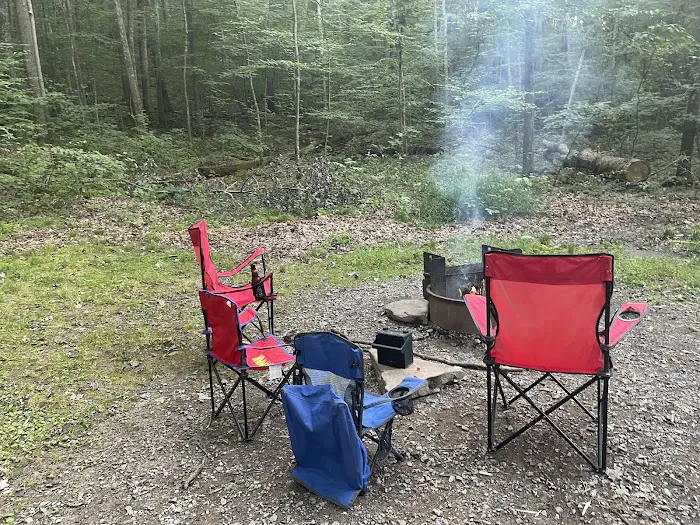 Trough Creek State Park Campground 2