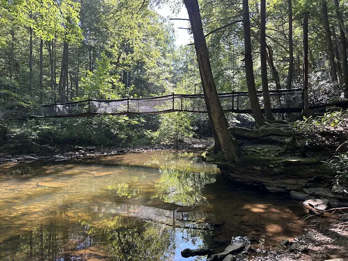Trough Creek State Park Campground 6