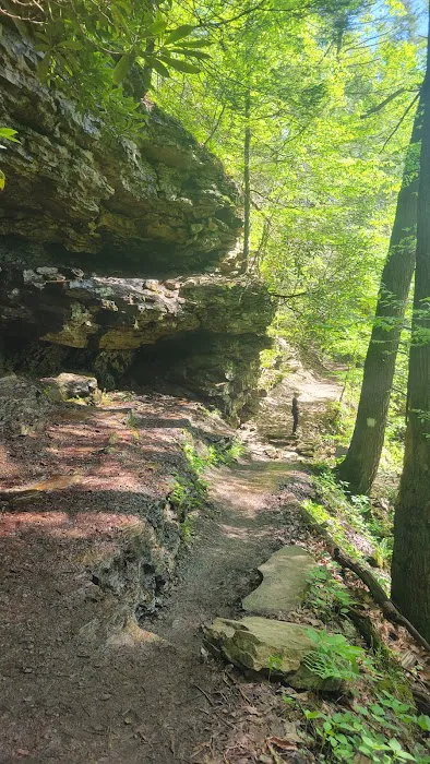 Trough Creek State Park Campground 0