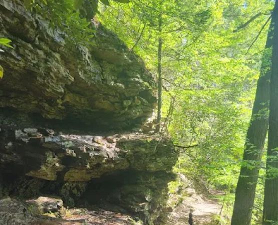 Trough Creek State Park Campground