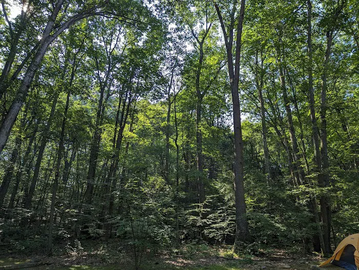 Trough Creek State Park Campground 1