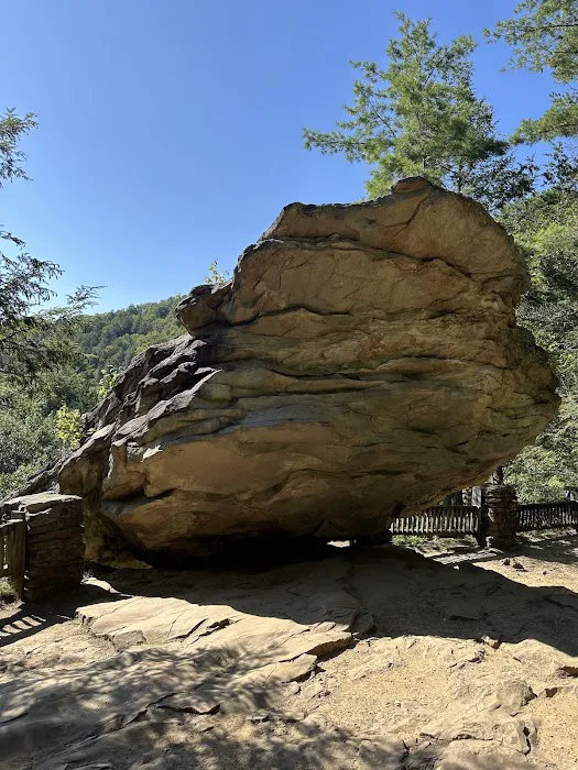 Trough Creek State Park Campground 8