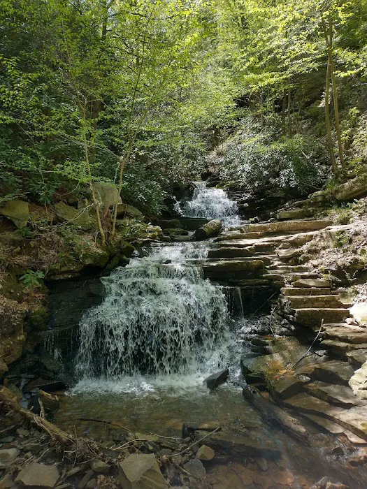 Trough Creek State Park Campground 5
