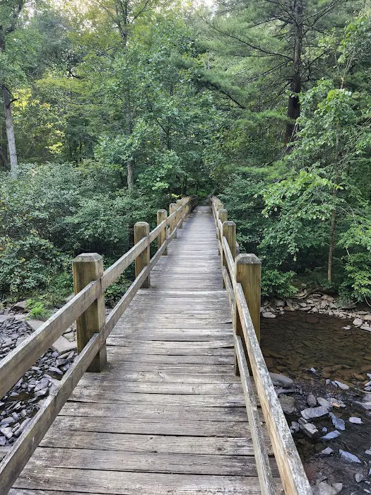 Trough Creek State Park Campground 7
