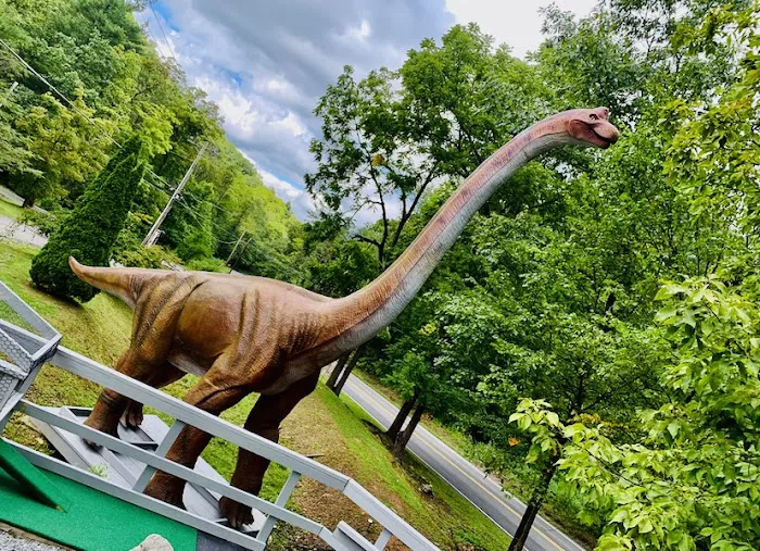 Hemlock Hideaway Campground 0