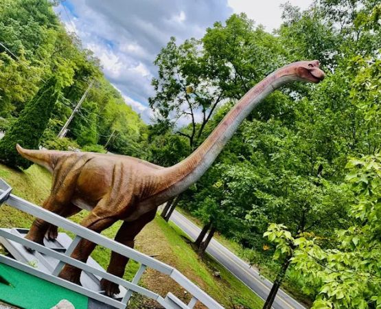 Hemlock Hideaway Campground