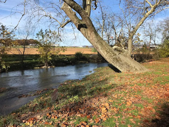 Twin Bridge Campground 5