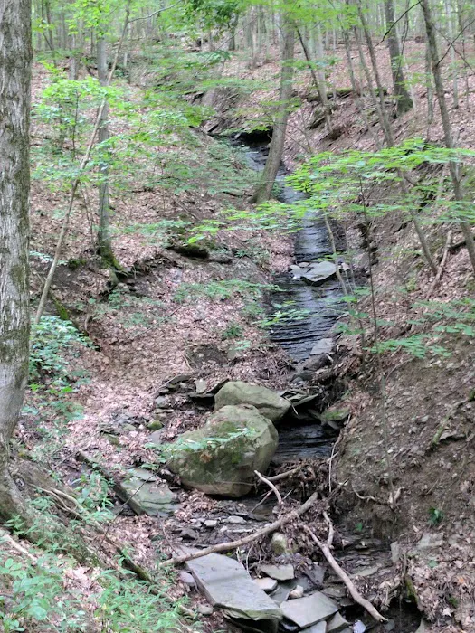 Mountainside Camp Site 6