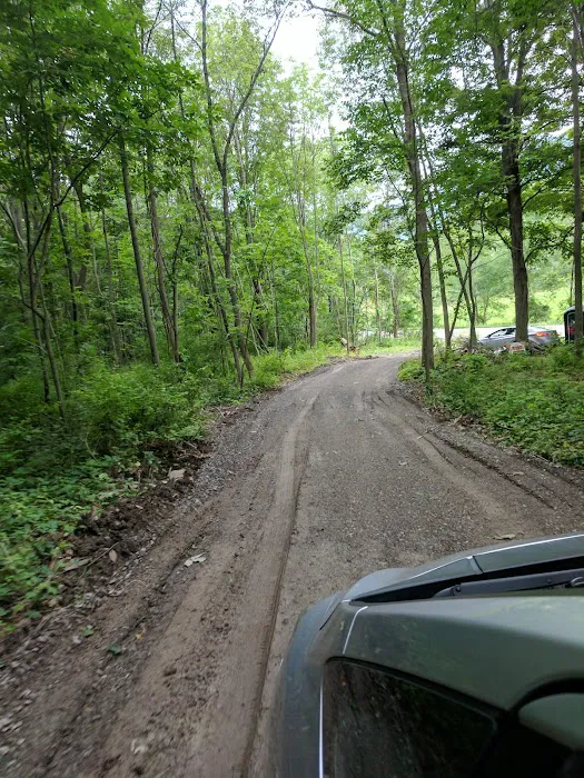 Mountainside Camp Site 5