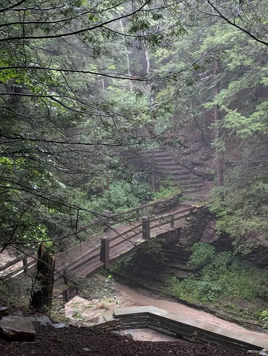 Stony Brook State Park Campground 5