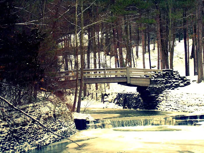 Stony Brook State Park Campground 6