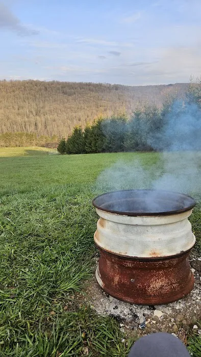 Bines Hill Campsites 1