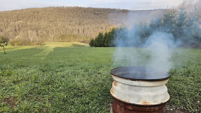 Bines Hill Campsites 2