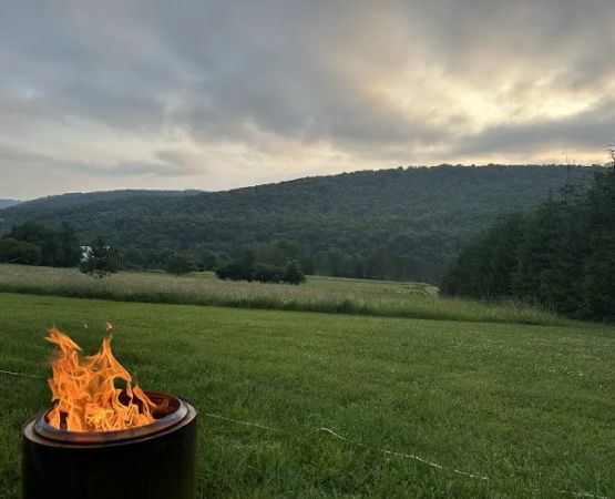 Bines Hill Campsites