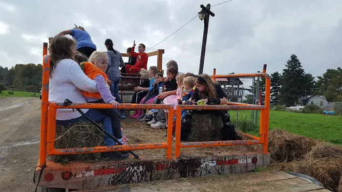 McCarthy's Ranch and Campsite, LLC 5