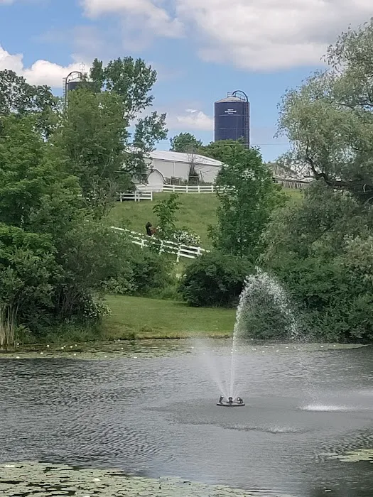 Jones Pond Mens Only Campground & RV Park 5