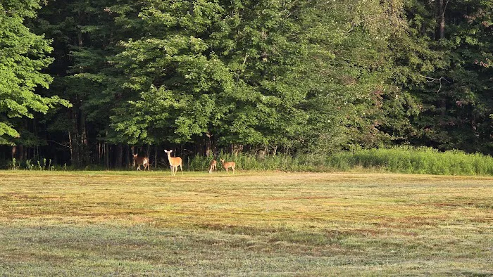 High Pines RV Park 0