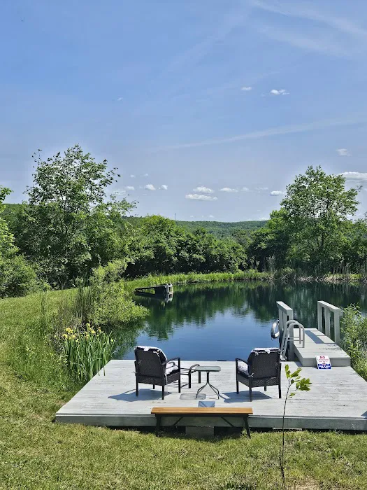 Oasis in the Alleghany's camping 7