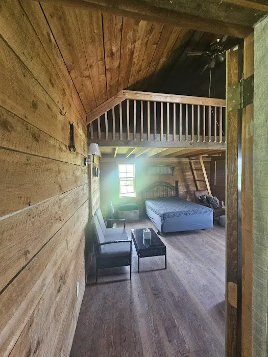 Oasis in the Alleghany's camping 8