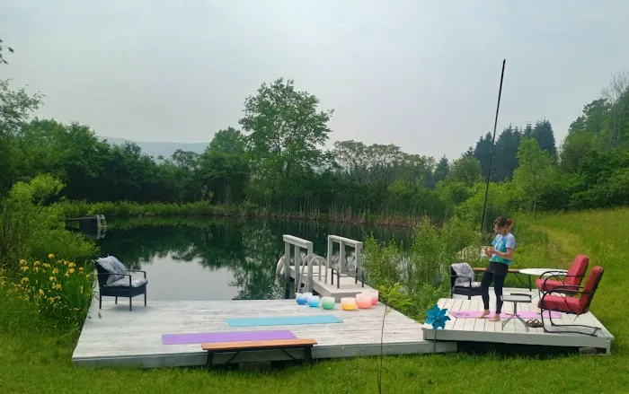 Oasis in the Alleghany's camping 5