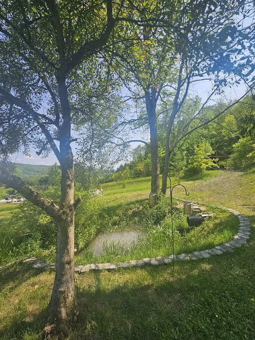 Oasis in the Alleghany's camping 9