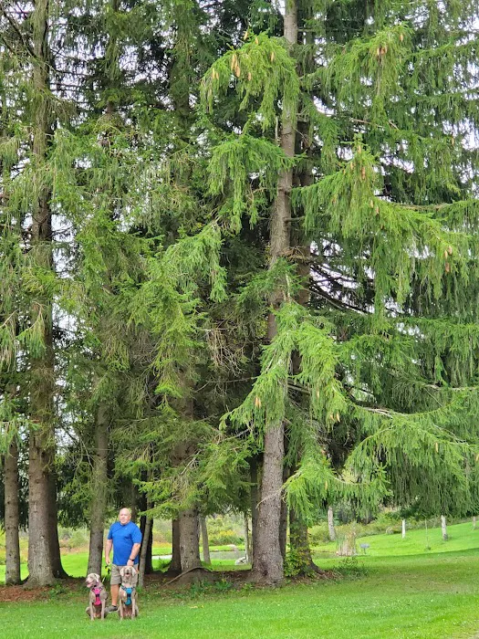 All Adventures Campground Inc 3