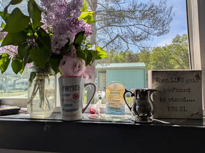 Misty Mountains Park 0