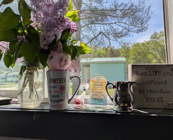 Misty Mountains Park