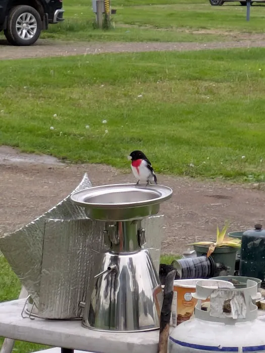 Misty Mountains Park 9