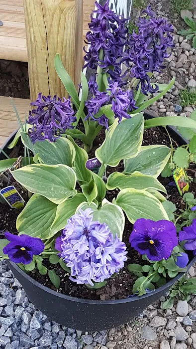 Riverside Park Campground 6