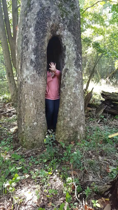 Riverside Park Campground 9