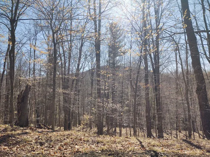 Plum Bottom Creek Campground's now Plum Good Campground 8