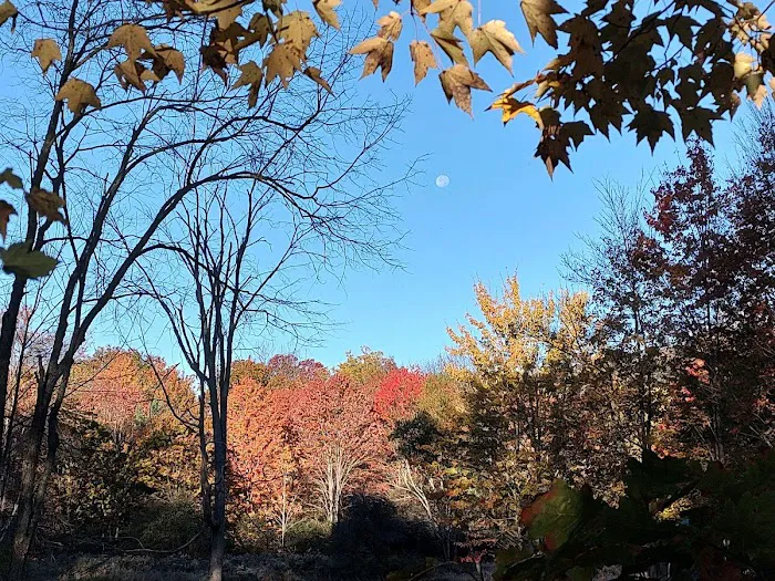 Plum Bottom Creek Campground's now Plum Good Campground 2
