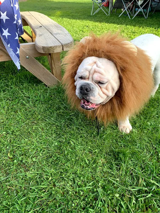 Trout Run Camp Resort 1