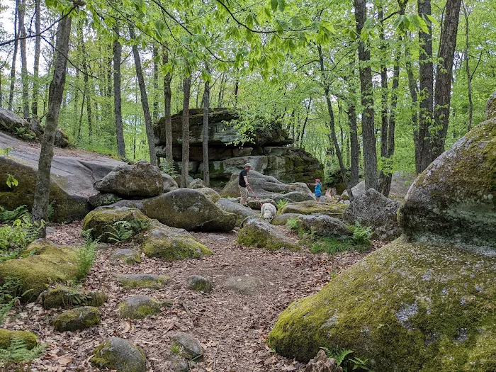 Parallel Cottages, Allegany State Park 9