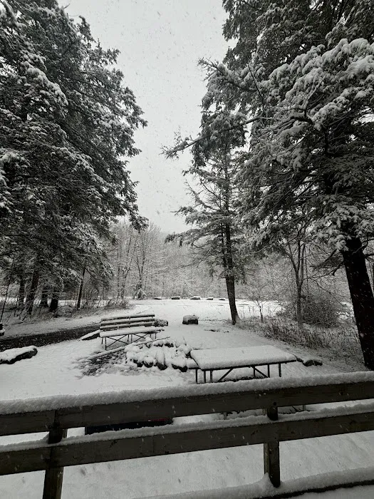Parallel Cottages, Allegany State Park 7