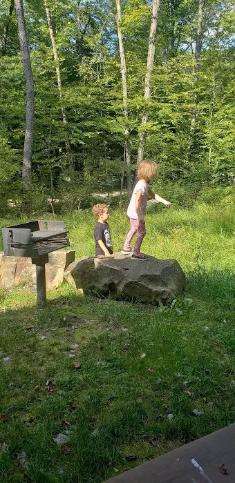 Parallel Cottages, Allegany State Park 0