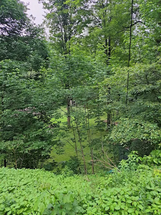 Camp Kaelber Mohan Run 7