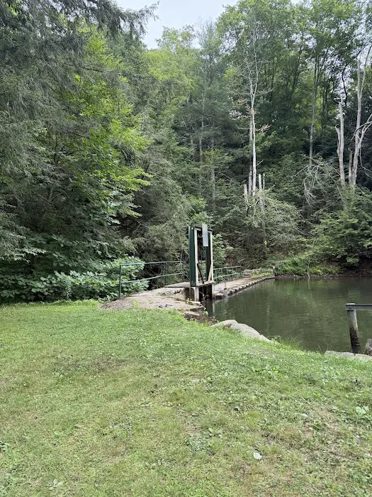 Camp Kaelber Mohan Run 8