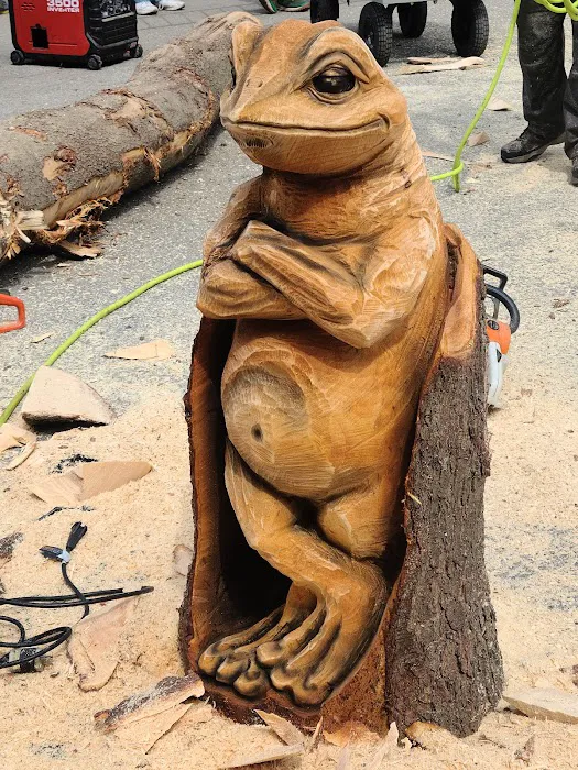 Ridgway Mills Campsites 5