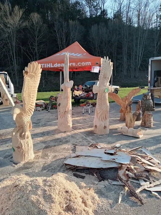 Ridgway Mills Campsites 6