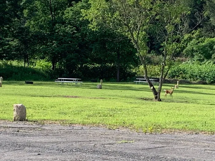 Ridgway Mills Campsites 4